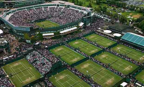 Halo Wimbledon