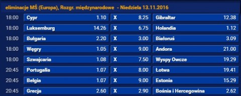 holandia sts kursy